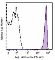 Brilliant Violet 650™ anti-rat CD90/mouse CD90.1 (Thy1.1) Antibody (202533)