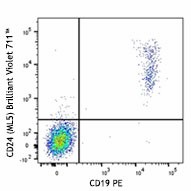 Brilliant Violet 711™ anti-human CD24 Antibody (311135)