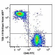 Brilliant Violet 605™ anti-mouse TER-119/Erythroid Cells Antibody (116239)