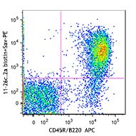 Biotin anti-mouse IgD Antibody (405733)