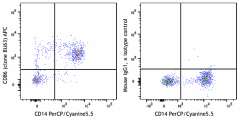APC anti-human CD86 Antibody (374207)