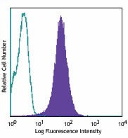 PE/Cyanine7 anti-human CD146 (MUC18, Mel-CAM) Antibody (342010)