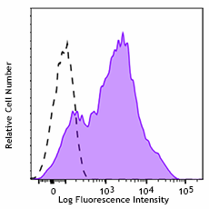 Purified anti-human CD38 Recombinant Antibody (308002)