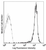 FITC anti-mouse CD90.2 (Thy1.2) Antibody (105305)