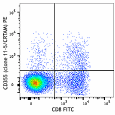 PE anti-mouse CD355 (CRTAM) Antibody (142005)
