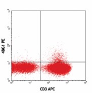 PE anti-human IL-21 Antibody (516703)