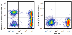 KIRAVIA Blue 520™ anti-T-bet Antibody (644837)