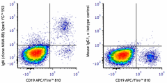 Spark YG™ 593 anti-human IgM Antibody (314561)