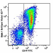 Brilliant Violet 421™ anti-mouse IgM Antibody (406517)