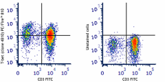 PE/Fire™ 810 anti-T-bet Antibody (644839)