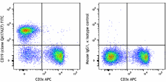 FITC anti-mouse CD19 Recombinant Antibody (159808)