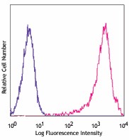 Pacific Blue™ anti-mouse CD90.2 (Thy1.2) Antibody (140305)