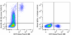 PE anti-human HLA-DR, DP, DQ Antibody (361715)