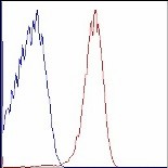 APC/Cyanine7 anti-human CD36 Antibody (336213)