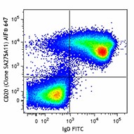 Alexa Fluor® 647 anti-mouse CD20 Antibody (150403)