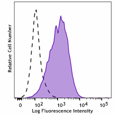 KIRAVIA Blue 520™ anti-human CD166 Antibody (343923)