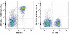 Purified anti-mouse CD90 (Thy1) Antibody (166402)