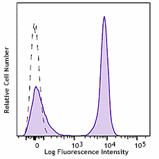 Alexa Fluor® 647 anti-rat IgG2a Antibody (407511)