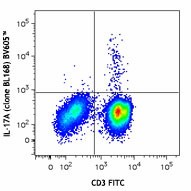 Brilliant Violet 605™ anti-human IL-17A Antibody (512325)
