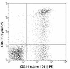 PE anti-human CD314 (NKG2D) Antibody (320805)