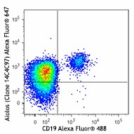 Alexa Fluor® 647 anti-human Aiolos Antibody (371004)