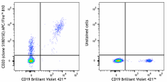 APC/Fire™ 810 anti-human CD20 Antibody (375529)