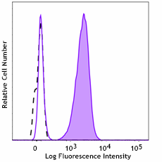 PE anti-YAP1 Antibody (603653)