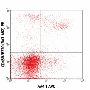 APC anti-mouse CD93 (AA4.1, early B lineage) Antibody (136509)