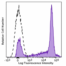 APC anti-rat CD43 Antibody (202814)