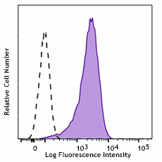 Purified anti-human CD133 Antibody (397902)