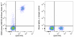 Brilliant Violet 421™ anti-human CD20 Antibody (375513)