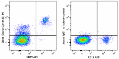 PE anti-human CD40 Recombinant Antibody (325806)
