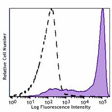 Brilliant Violet 711™ anti-human CD62L Antibody (304859)