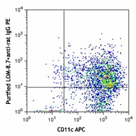 Purified anti-mouse CD301a (MGL1) Antibody (145602)