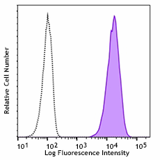 Biotin anti-human CD146 Antibody (361036)
