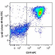 FITC anti-mouse Ly-6D Antibody (138605)