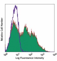 Pacific Blue™ anti-mouse/human CD11b Antibody (101223)