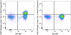 PerCP/Cyanine5.5 anti-STAT3 Phospho (Tyr705) Antibody (651021)