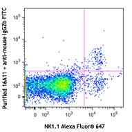 Purified anti-mouse CD159a (NKG2AB6) Antibody (142802)