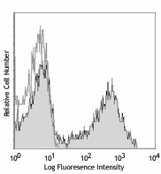 APC anti-mouse/human CD11b Antibody (101211)