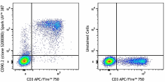 Spark UV™ 387 anti-mouse CD90.2 (Thy1.2) Antibody (164803)