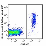 Brilliant Violet 510™ anti-human CD24 Antibody (311126)