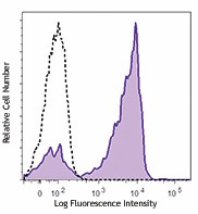 PE anti-mouse CD16.2 (FcγRIV) Antibody (149503)