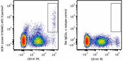 APC/Cyanine7 anti-human XCR1 Antibody (372619)
