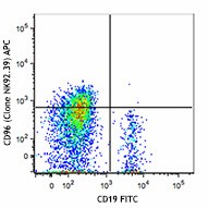 APC anti-human CD96 (TACTILE) Antibody (338409)