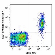 Brilliant Violet 605™ anti-human CD24 Antibody (311123)