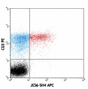 APC anti-mouse IL-2 Antibody (503809)