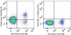 PE anti-human CD360 (IL-21R) Antibody (376103)