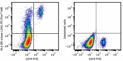 PE/Fire™ 640 anti-human HLA-DR Antibody (307675)