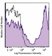 Brilliant Violet 711™ anti-rat CD90/mouse CD90.1 (Thy1.1) Antibody (202539)